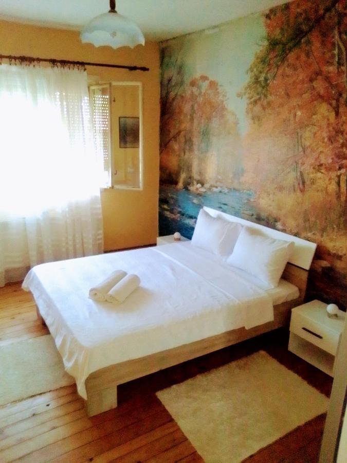 Timocko Gnezdo Guest House Zaječar Eksteriør bilde